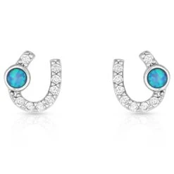 Er3394 Lightfoot Horseshoe Earrings By Montana Silversmiths