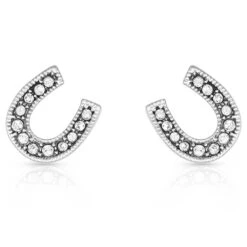 Er808 Classic Sparkle Horseshoe Earrings By Montana Silversmiths