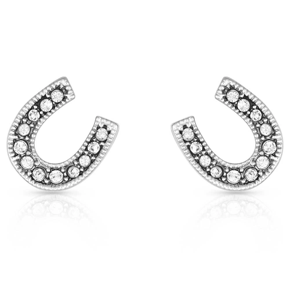 Er808 Classic Sparkle Horseshoe Earrings By Montana Silversmiths 1 Er808 Classic Sparkle Horseshoe Earrings By Montana Silversmiths