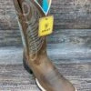 10018528 Women's Round Up Square Toe Western Boot By Ariat