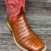Hp8003 Men's Belly-Cut Caiman Square Toe Western Boot By Horse Power