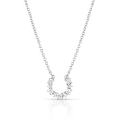 Nc5025 Longline Horseshoe Necklace By Montana Silversmiths