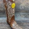 A3671 Women’s Inlay & Embroidery Snip Toe Western Boot By Corral