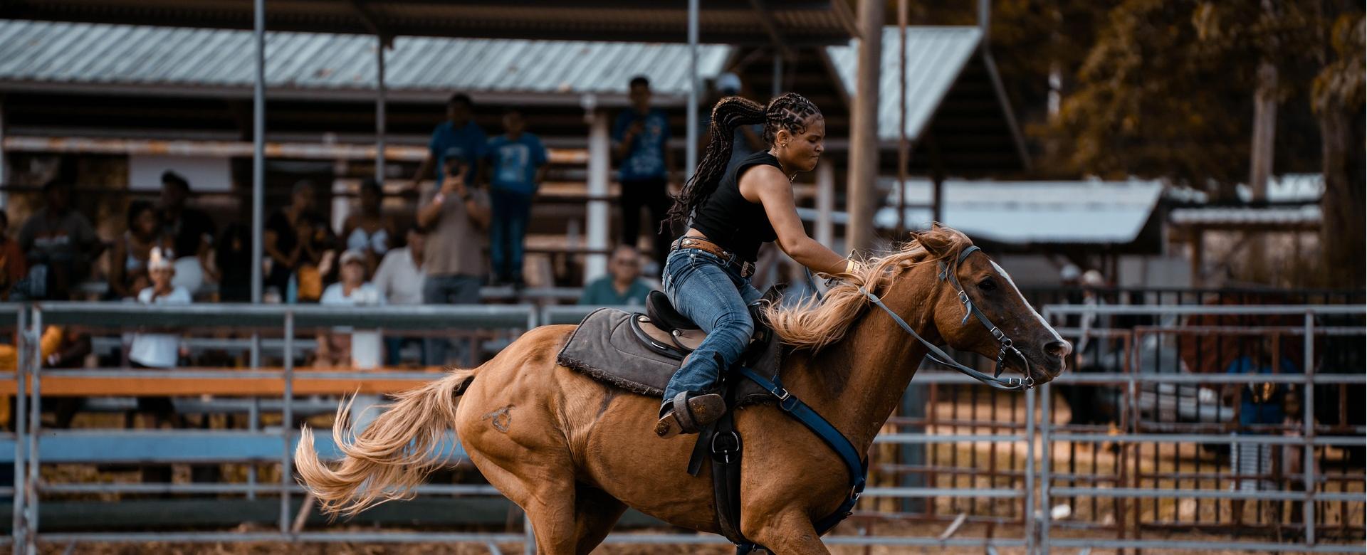 Western Cowboy Equipment Store -Western Cowboy Equipment Store horse 8209533 1920